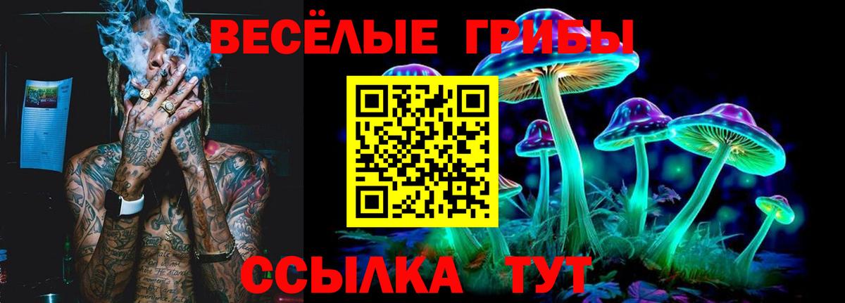 Галлюциногенные грибы Magic Shrooms  Вход с VPN  Псилоцибиновые грибы GOLDEN TEACHER  Сорочинск 